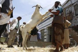 Menilik persiapan menjelang Idul Adha di berbagai negara