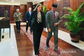 Indonesia gandeng Norwegia untuk capai target energi bersih 2025-2030