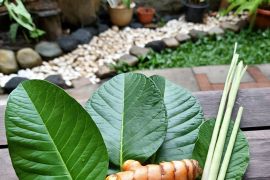 5 Herbal aman untuk diare pada Balita yang perlu dicoba
