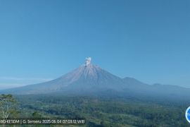 Semeru alami erupsi dengan letusan setinggi 800 meter di atas puncak