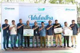 Pelindo Sub Regional Kalimantan bagikan puluhan ekor hewan kurban