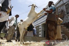 Berikut ucapan selamat Hari Raya Idul Adha penuh makna dan doa