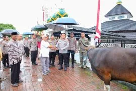 Polda Maluku salurkan bantuan hewan kurban empat sapi kepada  masyarakat