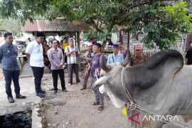 Pemkot Padangsidimpuan serahkan hewan kurban Presiden Prabowo di Desa Joring Lombang