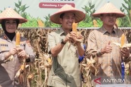 Ratu Dewa ajak warga Palembang tanam buah di rumah, tingkatkan kemandirian pangan