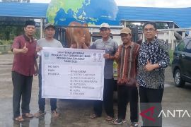 Sumbar salurkan 68 ekor sapi kurban bagi masyarakat dan Palestina