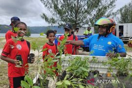 Pemprov Papua bagi 3.300 bibit gratis di Hari Lingkungan Hidup Dunia