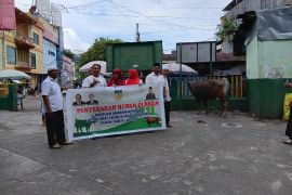 Pemprov serahkan tiga sapi kurban ke lembaga keagamaan Jayapura