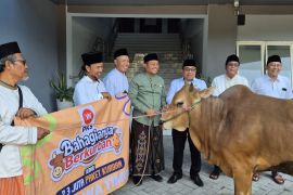 PKS Jatim serahkan hewan kurban ke sejumlah organisasi keagamaan