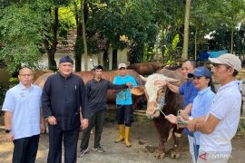 Presiden Prabowo bagikan 58 ekor sapi kurban untuk tetangga di Bogor