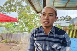 PHBI Jayawijaya sebut hewan untuk kurban Idul Adha 37 ekor sapi