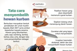 Tata cara menyembelih hewan kurban