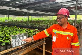 Nursery WBN produksi 200 ribu bibit tanaman endemik untuk reklamasi