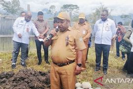 Pemkab Jayawijaya dorong pembangunan Universitas Baliem Papua