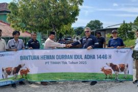 PT Timah tebar bantuan hewan kurban di Bangka Barat