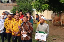 Ini alasan Pramono serahkan sapi kurban kepada masjid di Tambora