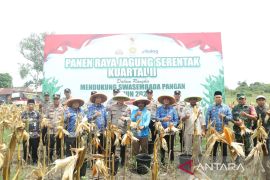 Kapolres Inhu panen raya jagung serentak kuartal II bersama kelompok tani