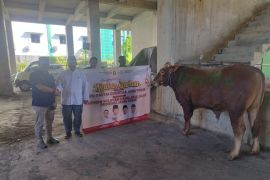 Gerindra Jatim distribusikan ratusan hewan kurban di 38 Kabupaten/Kota
