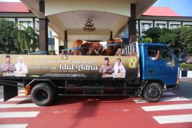 Polda Kepri salurkan 150 ekor hewan kurban kepada masyarakat