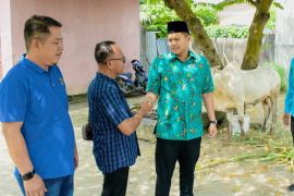 Diserahkan Wabup, PWI Serdang Bedagai terima sapi qurban