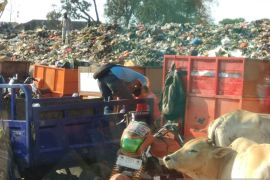 SIEJ Sulsel serukan pembagian daging kurban tak pakai kantong plastik