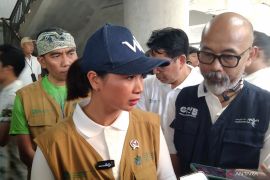 Wamenpar dukung transportasi wisata Banyuwangi-Denpasar