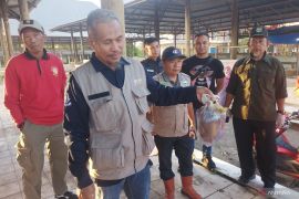 Dinas Pertanian OKU musnahkan 4,2 kg organ hati sapi potong mengandung cacing