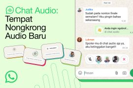 Fakta penting yang perlu dipahami mengenai "Chat Audio" di WhatsApp