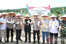 Kapolda Jambi panen raya 180 ton jagung program ketahanan pangan