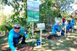 SPJM Pelindo dan Pemkab Gowa tanam pohon endemik peringati Hari Lingkungan Hidup