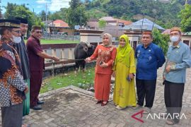 RSUD ZUS serahkan satu hewan qurban untuk masjid Agung Gorontalo Utara