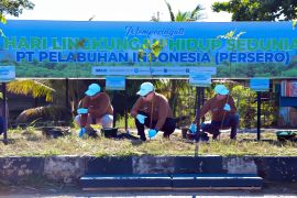 Pelindo Regional Kalimantan tanam 5.000 pohon mahoni