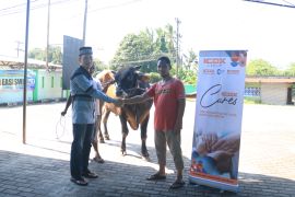 ICDX serahkan satu ekor sapi berbobot 700 kilogram ke Masjid Nurul Hikmah Desa Pagarawan