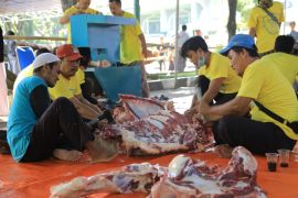 Catat, kurangi gunakan kantong plastik saat pembagian daging kurban