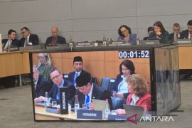 Indonesia brings digital investment vision at OECD meeting