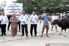 Pemkab Bone Bolango menyerahkan sapi bantuan ke Lapas Gorontalo