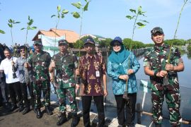 Pangdam Diponegoro perintahkan  jajaran tanam mangrove cegah abrasi