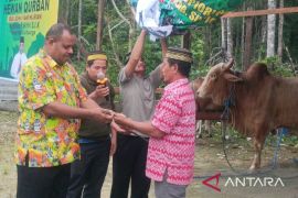Bupati Supiori Papua salurkan bantuan sapi kurban Presiden Prabowo Subianto