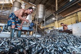 Industri pengolahan ikan di Banyuwangi