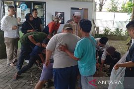 Idul Adha 1446 H, THPS sembelih dua ekor sapi