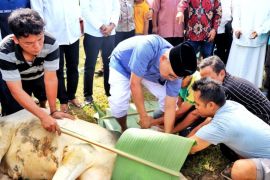 Idul Adha 1446 H, Bupati Simalungun sembelih hewan kurban