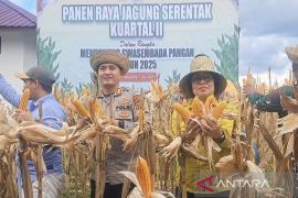 Keberhasilan panen raya jagung diharap pacu masyarakat Gumas