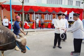 Kapolda Kaltim salurkan puluhan sapi kurban ke masyarakat