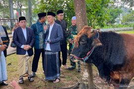 Pemkab Bogor distribusikan ratusan hewan kurban ke berbagai pelosok wilayah