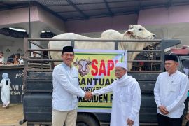 Bupati Batang Hari salurkan bantuan hewan kurban dari Presiden RI