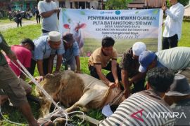 PT NSHE dan PLN Nusantara Renewables salurkan hewan kurban untuk masyarakat Tapsel