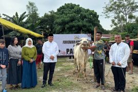 Korem 132 Tadulako serahkan 19 ekor hewan kurban ke panitia untuk disalurkan