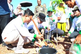 Wabup Batola: Gerakan Barito Kuala Hijau momen kesadaran darurat sampah plastik