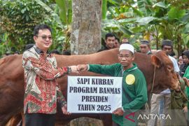 Bupati Bangka Barat serahkan sapi kurban bantuan presiden di Airnyatoh