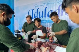 Idul Adha, Pelindo Jasa Maritim salurkan 42 ekor sapi dan 62 ekor kambing